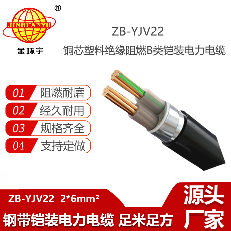 金環(huán)宇電線電纜 銅芯低壓阻燃電纜ZB-YJV22-2X6平方鎧裝電纜