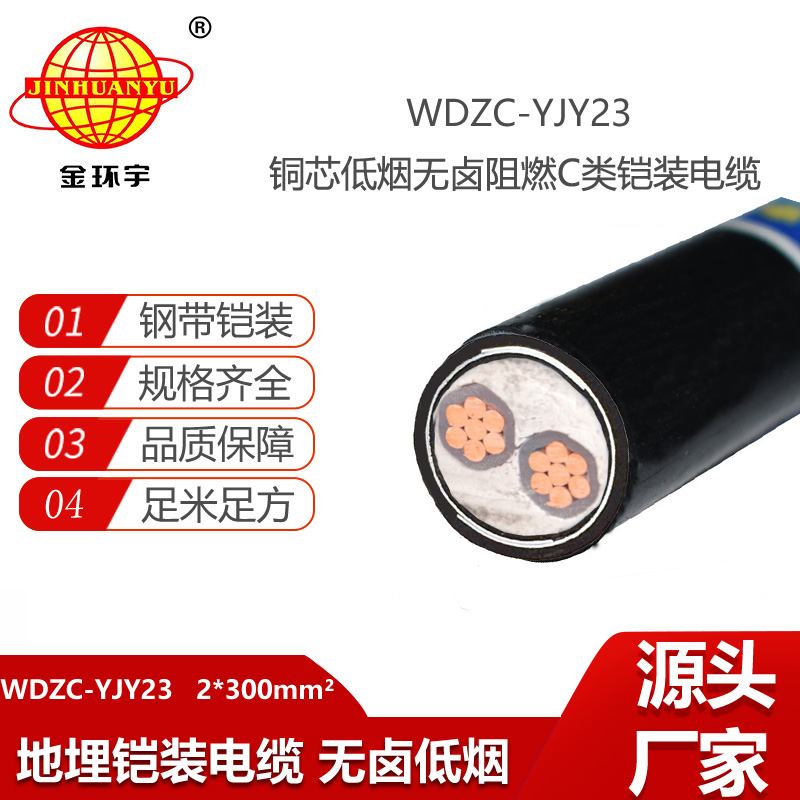 金環(huán)宇電線電纜 低煙無鹵鎧裝電纜WDZC-YJY23-2X300平方 交聯(lián)阻燃電纜