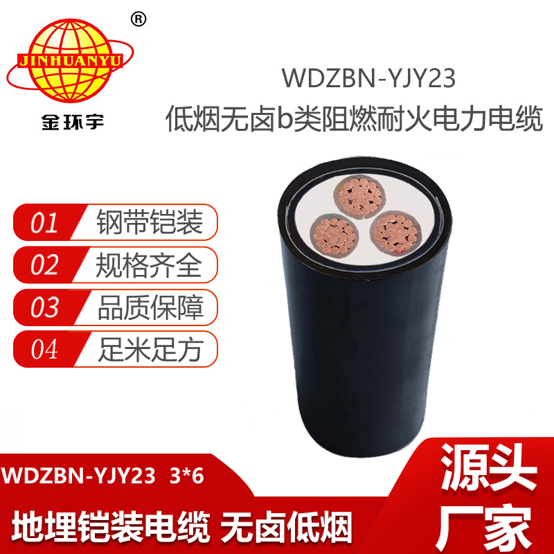 金環(huán)宇電線電纜 b級阻燃耐火鎧裝電纜WDZBN-YJY23-3X6低煙無鹵電力電纜