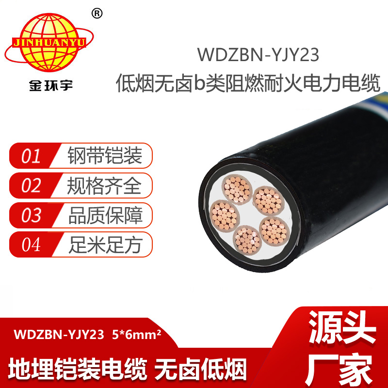 金環(huán)宇電線電纜 低煙無鹵交聯(lián)電纜WDZBN-YJY23-5X6深圳阻燃耐火電纜報價